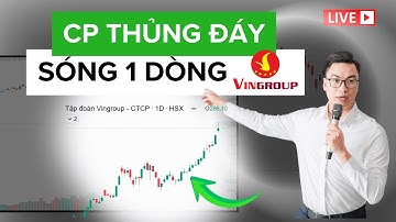 THỐNG KÊ SÓNG 1 DÒNG VINGROUP | Tú Lê