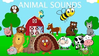 Animal Sounds Song | English Nursery Rhymes | Baby Song For Children #nurseryrhymes
