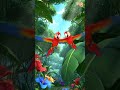 Cute Macaws Flying Fun 🦜✨ | Cartoon Animals