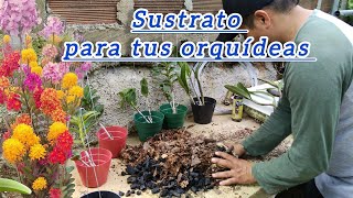 En este sustrato siembro mis orquídeas epidendrum acompáñame . 