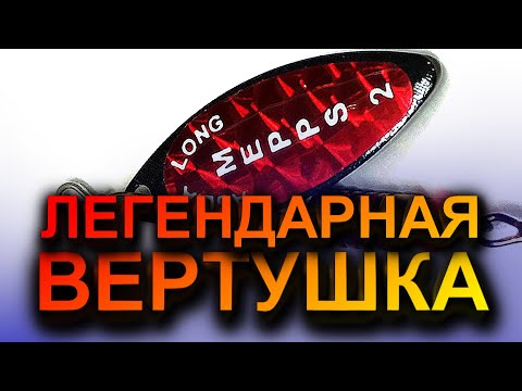 ЭТА БЛЕСНА ВСЕГДА