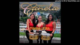 (Salsa 2026) Orquesta Canela - Timbalera