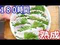 １８０時間熟成させたグレのお刺身を食べてみる