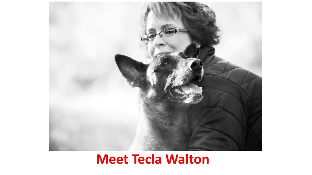 University of Dog - Expert Puppy Training Classes in Harbeson, DE