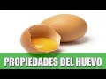 propiedades y beneficios del huevo