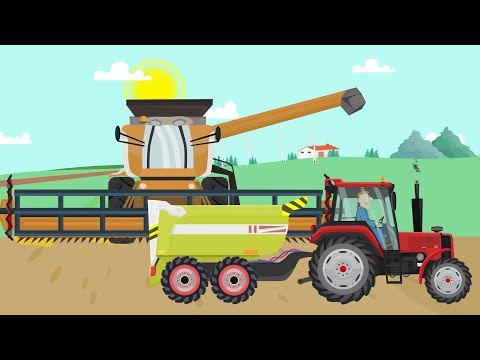 Farm work - Combine Harvester and Tractor They work hard | Fairy tale about Farmers - Bazylland