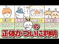 【ルーツ判明】ちいかわの正体について徹底解剖してみた！