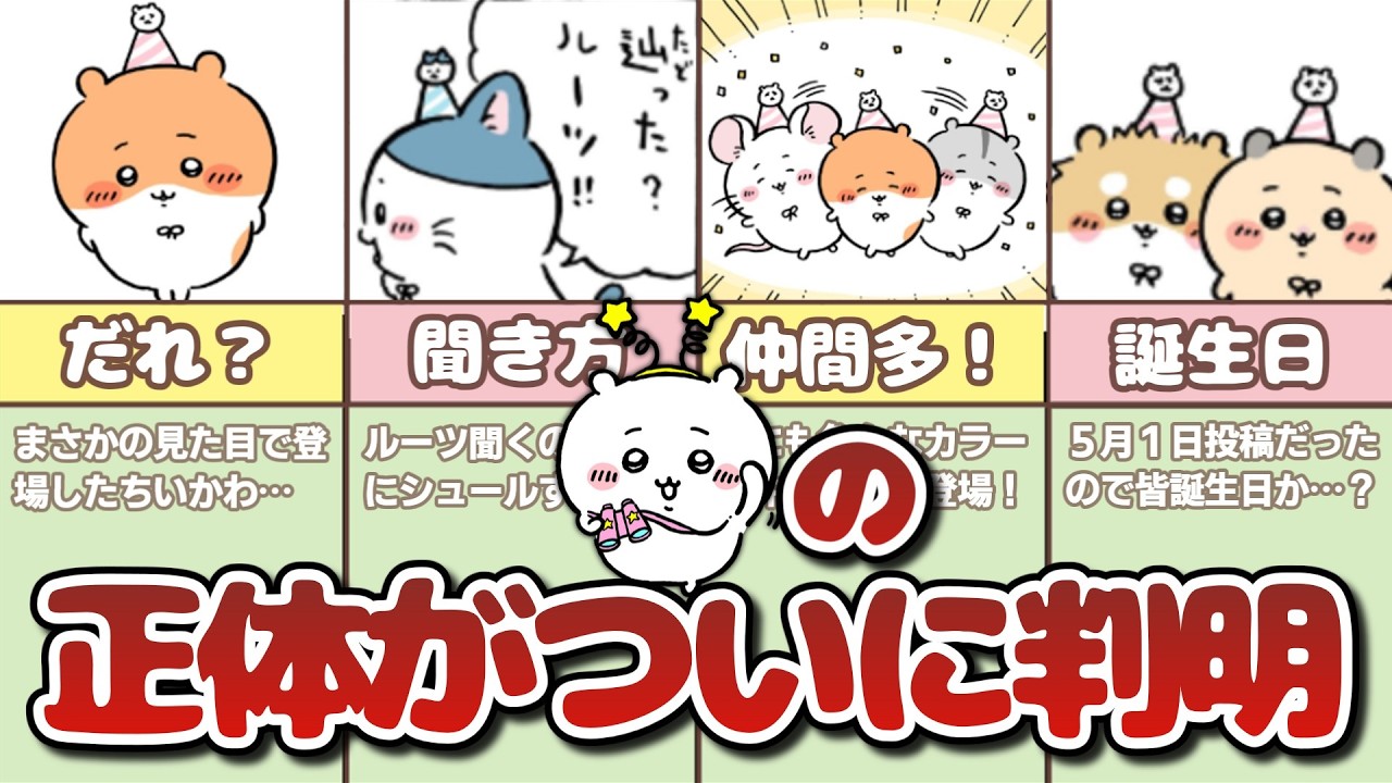 【ルーツ判明】ちいかわの正体について徹底解剖してみた！