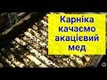 Карніка медозбір з акації відкачка меду, Матковод АМГ