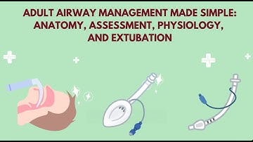 Adult Airway Management in Anesthesia | Techniques, Challenges, and Safety Pearls