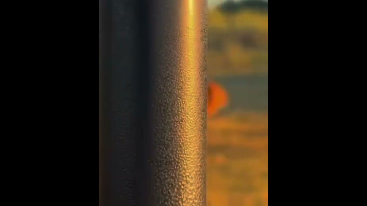 MASSIVE  LION  FROM OKAVANGO DELTA !!!