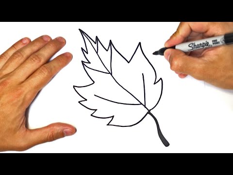 Как нарисовать кленовый лист | Рисунок листочка простой