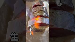 Hapyson アニサキスライト編 vol.697