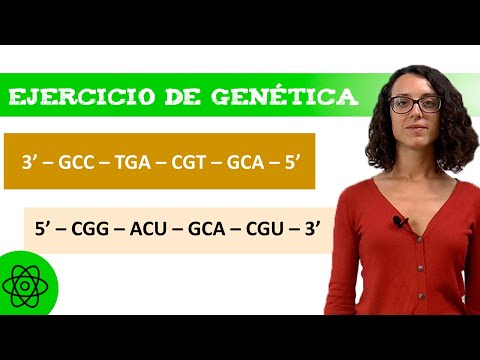 TRANSCRIPCIÓN GENÉTICA (Ejercicio y soluciones)