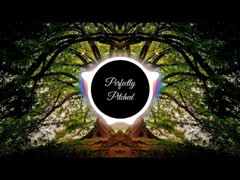 Justin Timberlake - Until The End Of Time (sped)