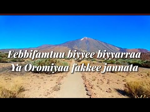 Oromiyaa Jiituu Daraari Biyyaa Koo