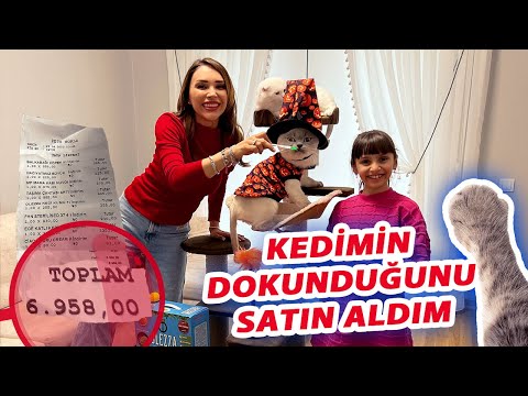 KEDİMİZİN DOKUNDUĞU HER ŞEYİ SATIN ALDIK !! 5 KATLI ŞATO SEÇTİ !