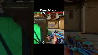 Reyna region of terror (1v5) ace #valorant #valorantclips #valoranthighlights