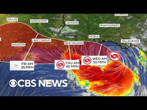 Tropical Storm Bertha threatens Gulf Coast with strong winds and rain
