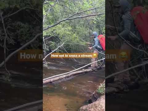 How not to cross a stream 😂