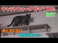 【DIY】簡単なキャットウォークの作り方を解説！！