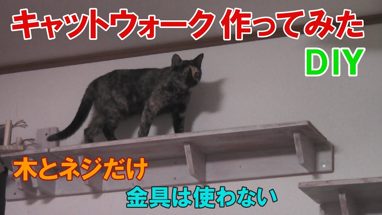 DIY] Learn how to make a simple catwalk! - YouTube