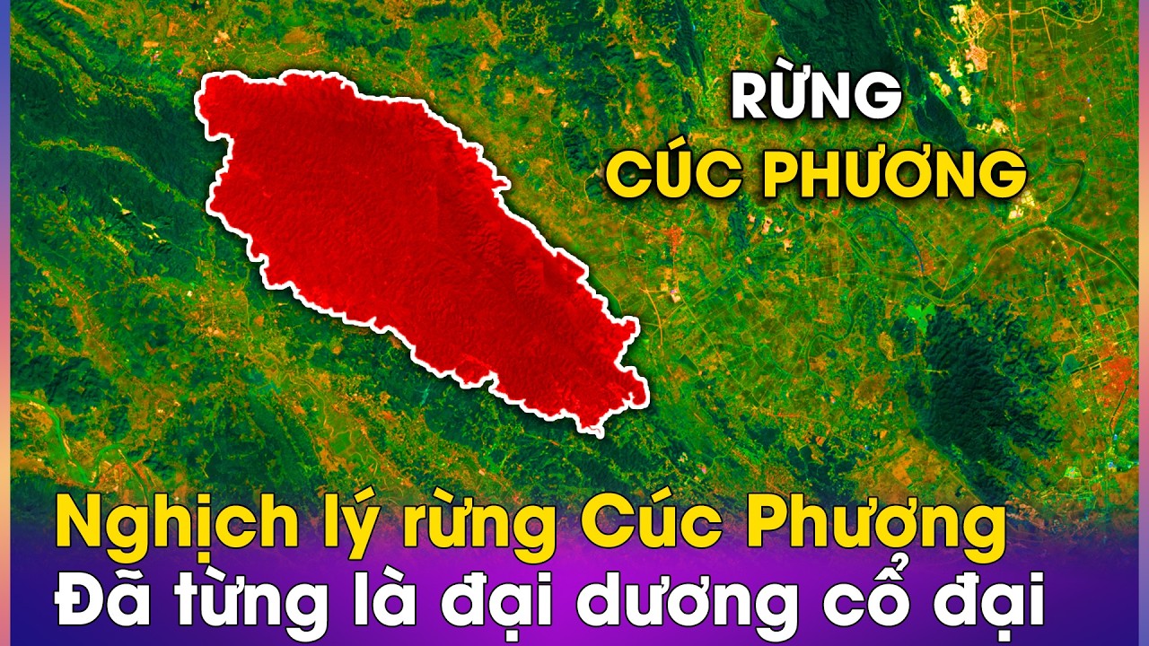 Nghịch lý Cúc Phương: Nơi đại dương cổ đại biến thành rừng già ngàn năm tuổi