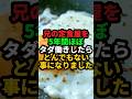 兄の定食屋をタダ働きで手伝っていたらまさかの結末に