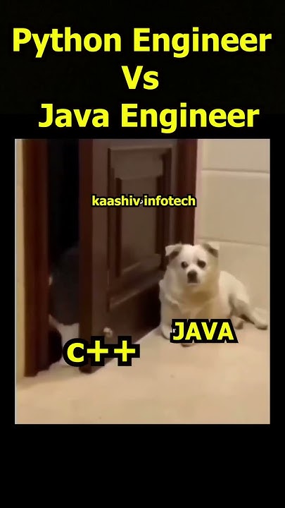 Python Vs Java - Python Engineer Vs Java Engineer #python #java #memes ...