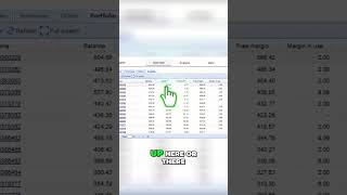 Trading Robots Turn Losers Into Winners With Smart Portfolio Management