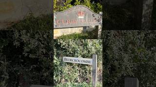 The Somerset Villages with Pub‑Menu Names! 🥘 🍺 #history #somerset #placenames #britishhistory