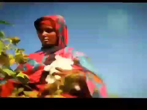 فاصل قناة الشروق الفضائية قديم 2015 4