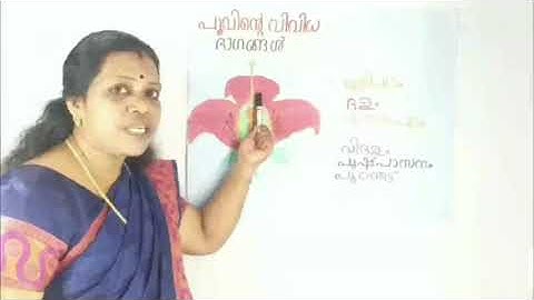 Std 6 Basic Science Unit 3 Class 7 White board ASD