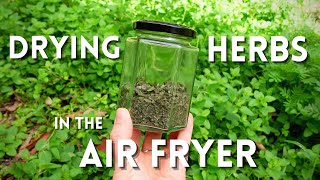 How to Dry Herbs Using an Air Fryer  Simple Quick Method to Preserve Herbs