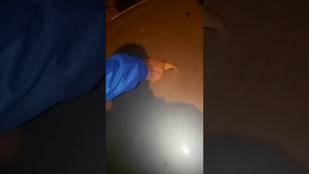 Supporteur du MCA présent au stade de Hamloaui