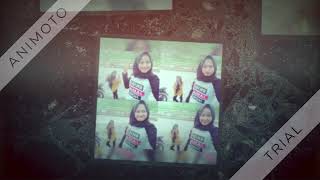 dj anjing kecili