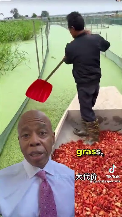 At first, I thought he was just shoveling chili peppers