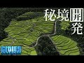 わたくし、秘境の市長になりました。【Cities:Skylines】【ゆっくり実況】#5