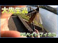 【PEベイトフィネス】何でもならパワーフィネス、特化ならPEベイトフィネス【大先生】