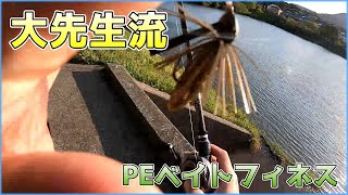 【PEベイトフィネス】何でもならパワーフィネス、特化ならPEベイトフィネス【大先生】