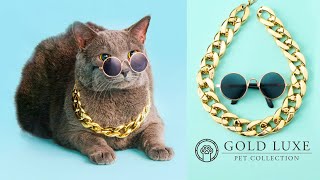 NEW to Shop The Gold Luxe Pet Collection