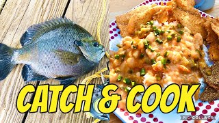 BIG BLUEGILL Fishing (Catch Clean Cook)