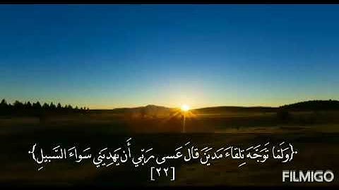 تلاوة من سورة القصص بصوت القارئ وليد الريدي حفظه الله ورعاه