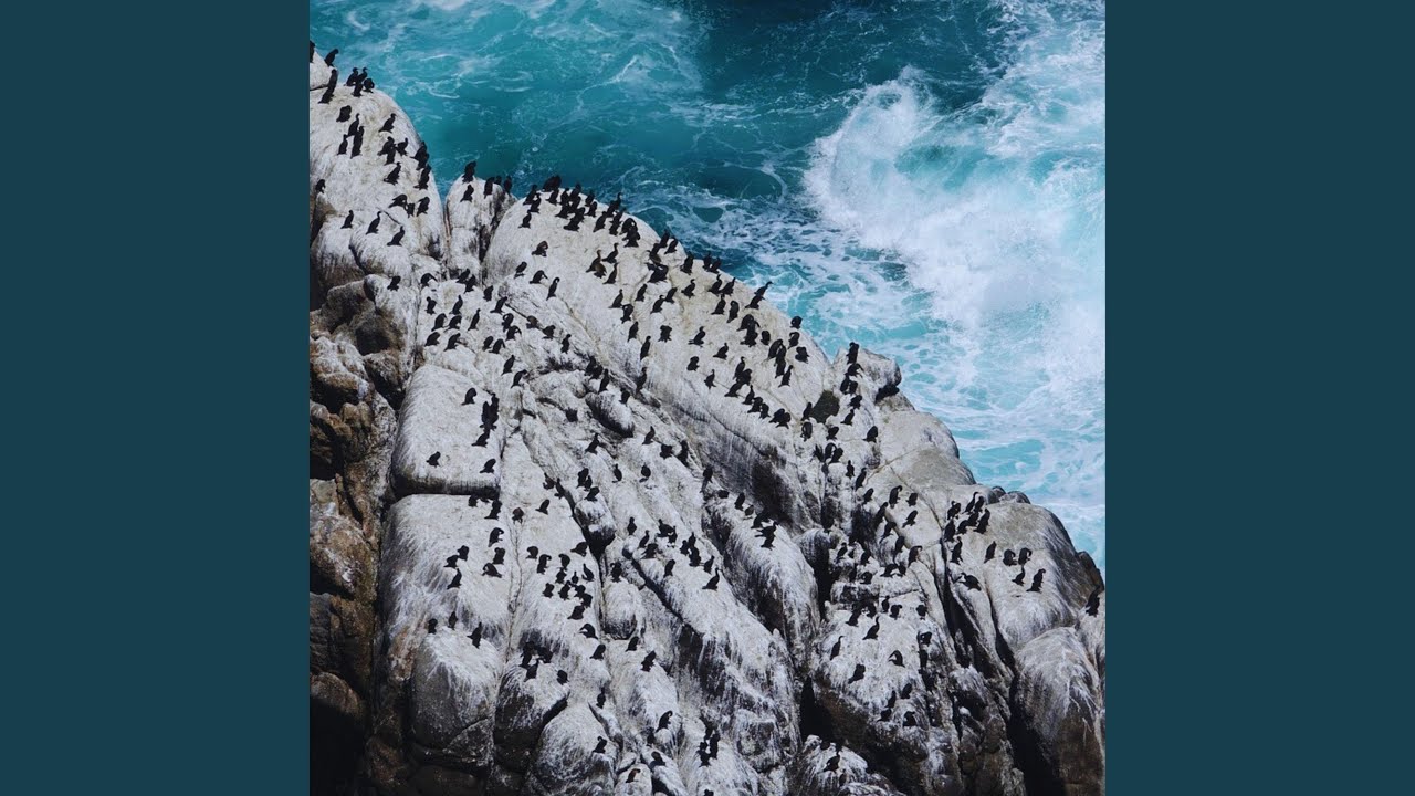 Guarda Circularity su YouTube Guarda Circularity su YouTube