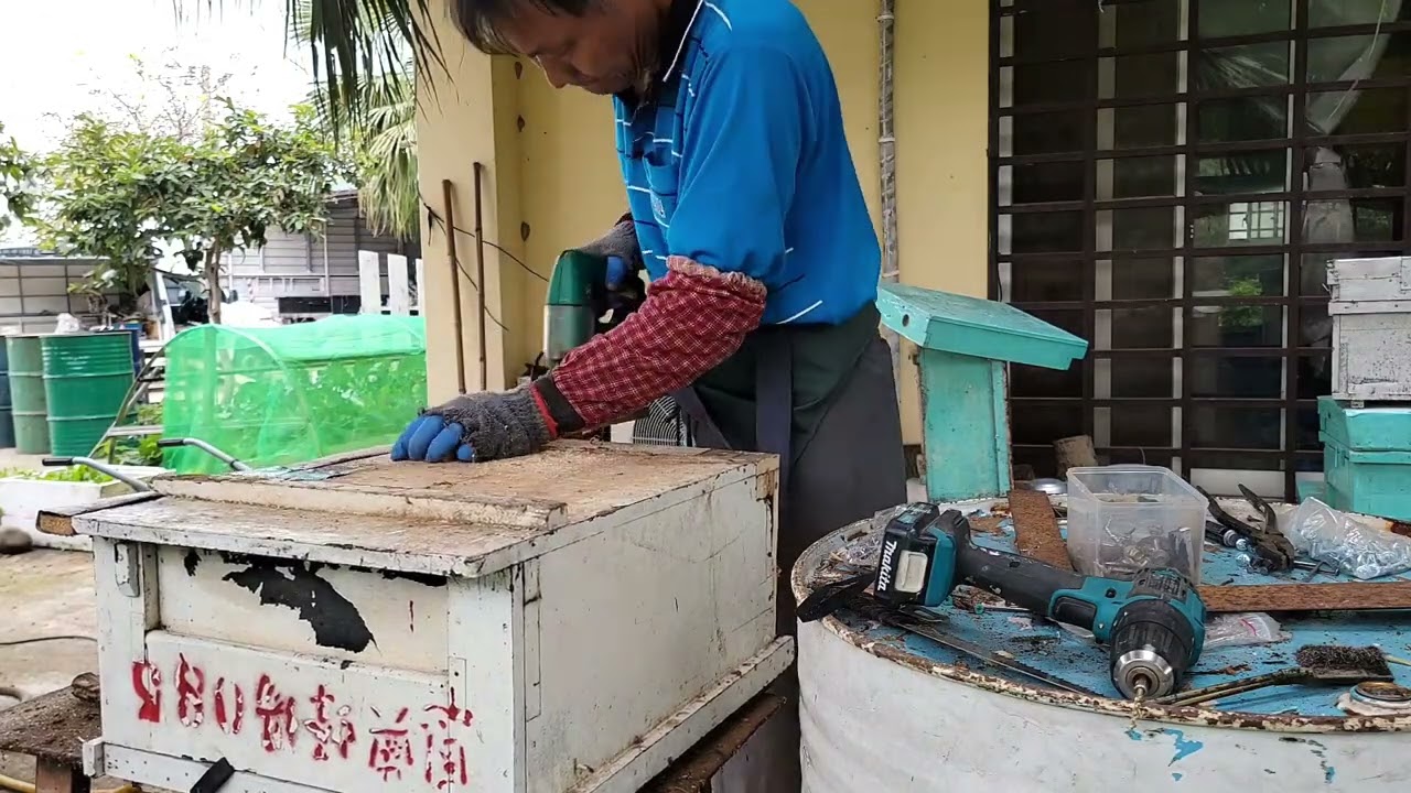 2026.2.25 蜜蜂員工換新居