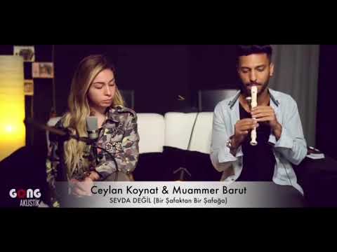 Ceylan Koynat &