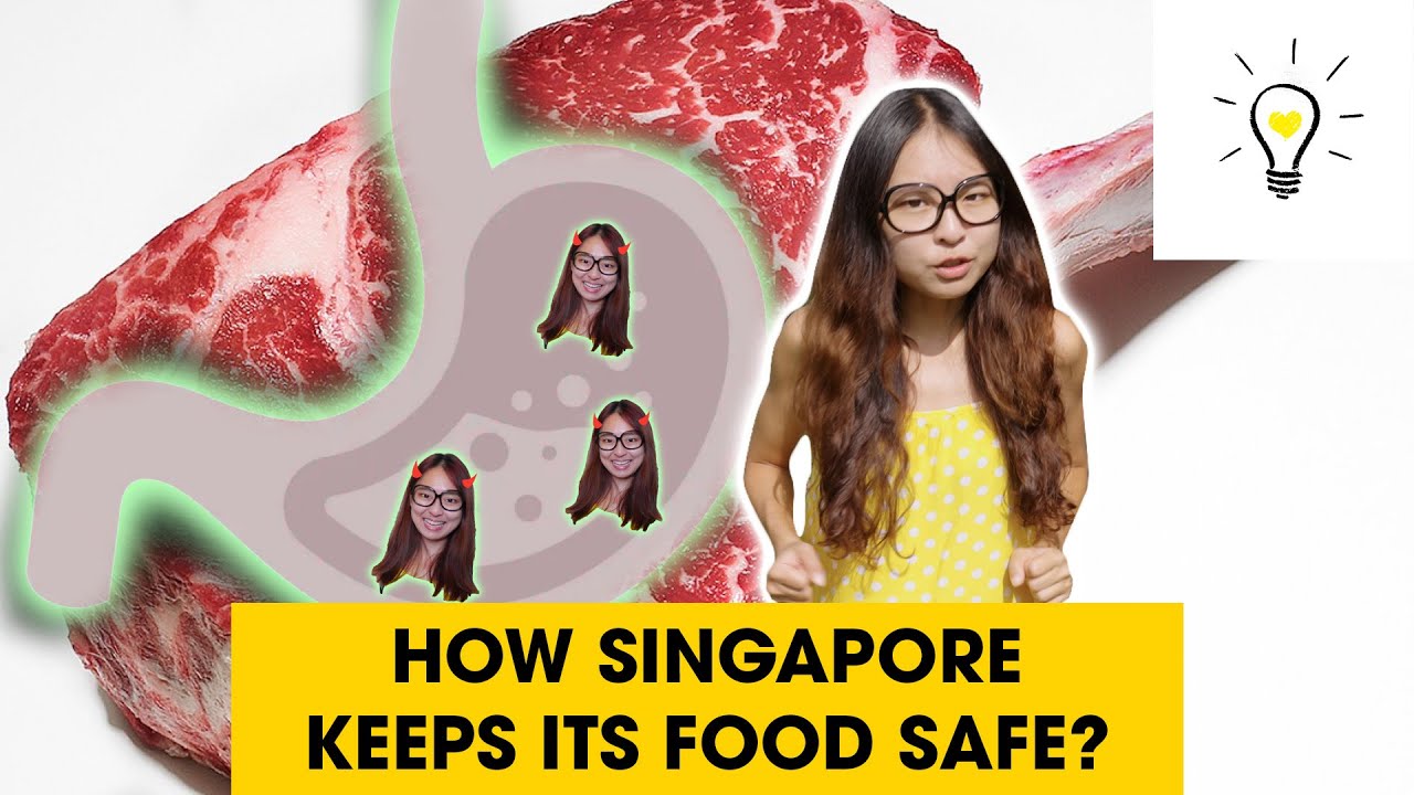 Keeping Your Food Safe YouTube