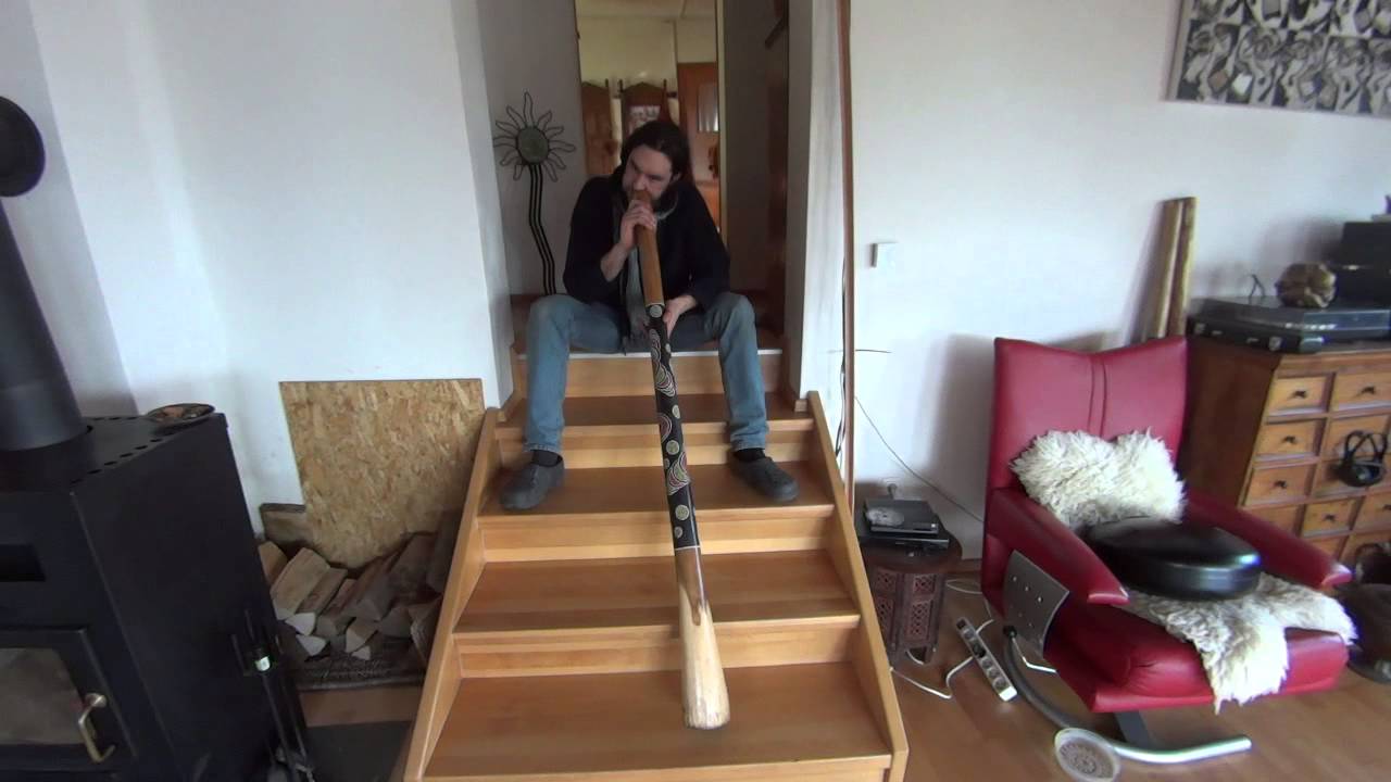 Didgeridoo Eukalyptus