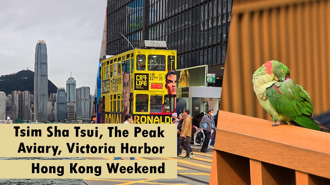 HONG KONG - The Peak, Tsim Sha Tsui, Victoria Harbor, Edward Youde Aviary, Mandarin Oriental