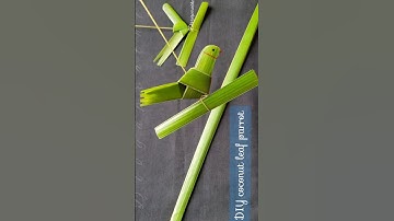 Coconut leaf craft/how to make a parrot with coconut leaves/coconut leaf birds/Diy videos/5 minutes